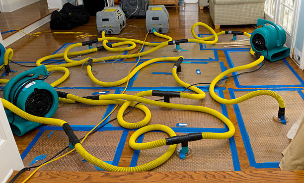 Professional Basement Flood Cleanup technician working in Saukville, WI